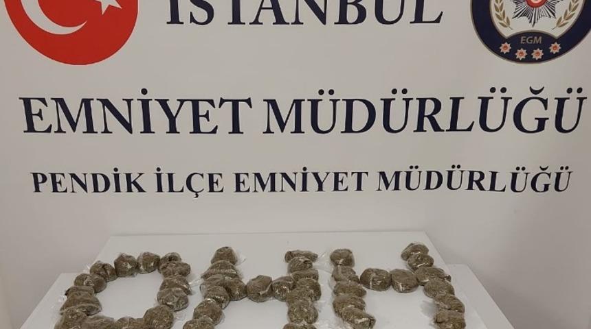 Pendik&rsquo;te polis &ccedil;am ağa&ccedil;larının altına gizlenmiş bonzai ele ge&ccedil;irdi