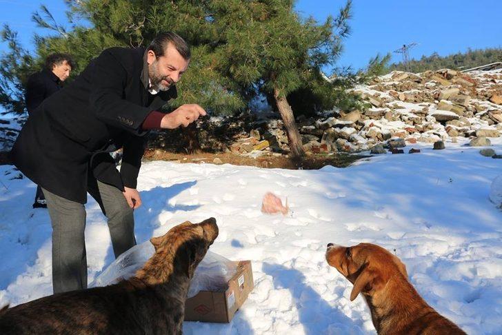 Başkan Işık: "Dünya, tüm canlılar iyi oldukça daha güzel" G1