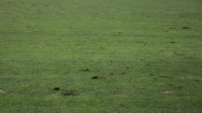Yeni Malatya Stadı’nın zemini tepki çekti