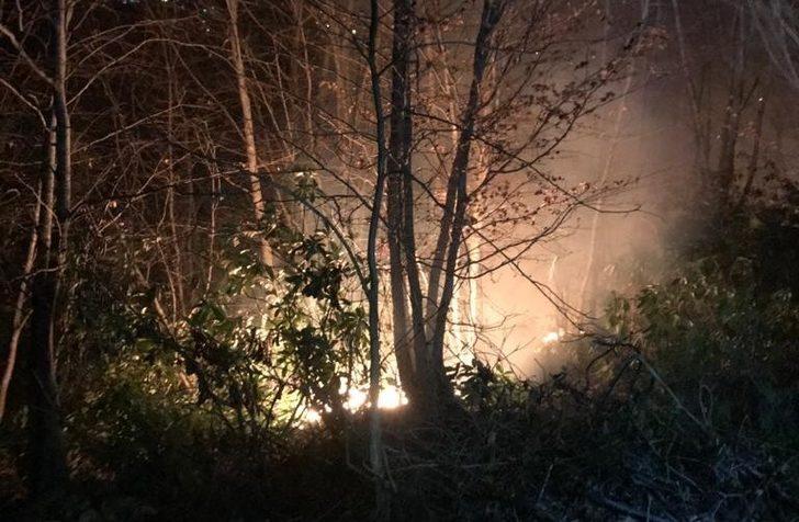 Örtü yangınını mahalleli söndürdü G3