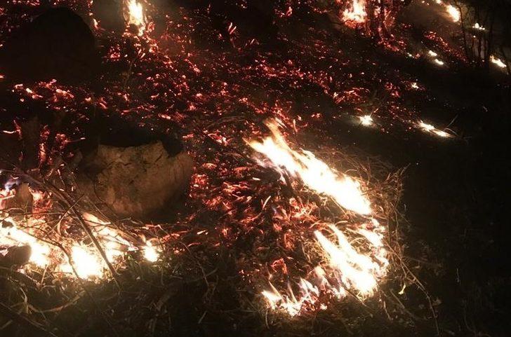 Örtü yangınını mahalleli söndürdü G4