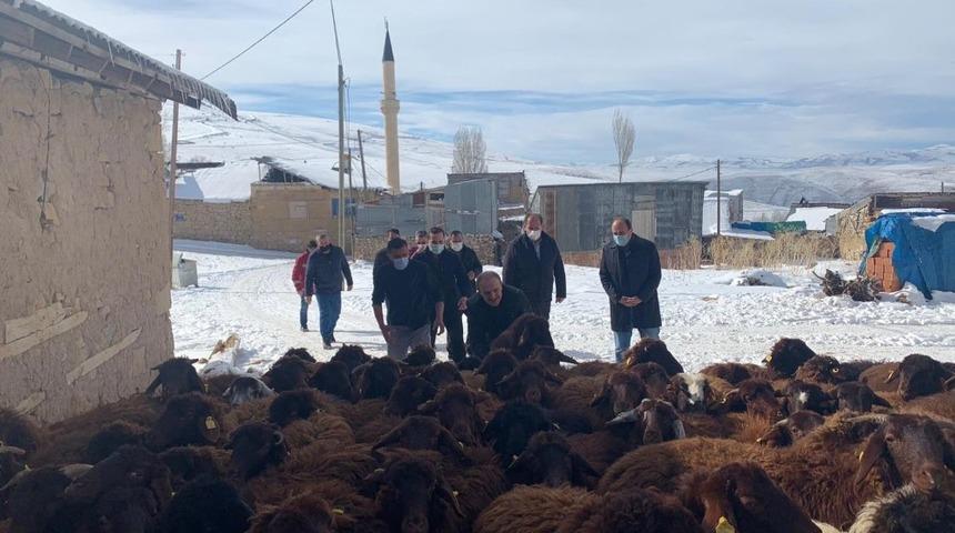 Bayburt&rsquo;ta "K&ouml;y&uuml;mde Yaşamak İ&ccedil;in Bir S&uuml;r&uuml; Nedenim Var Projesi" kapsamında &ccedil;ift&ccedil;ilere koyunları teslim edildi