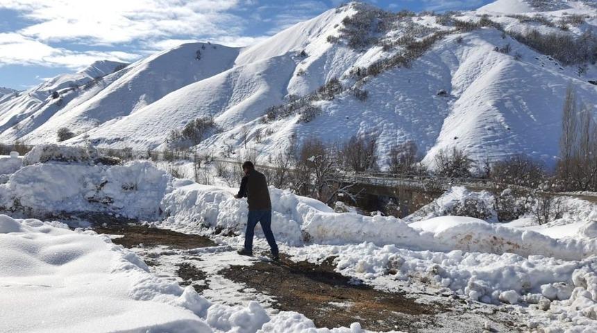 Erzincan&rsquo;da yaban hayvanları i&ccedil;in doğaya yem bırakıldı