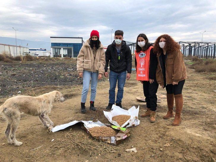 Nazillili hayvan severler sokak hayvanlarını unutmadı G2