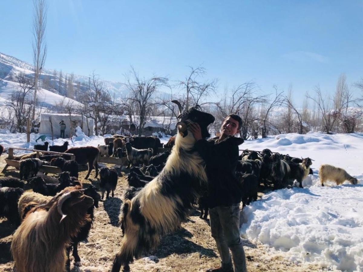 Hizan&rsquo;da besicilerin zorlu kış mesaisi