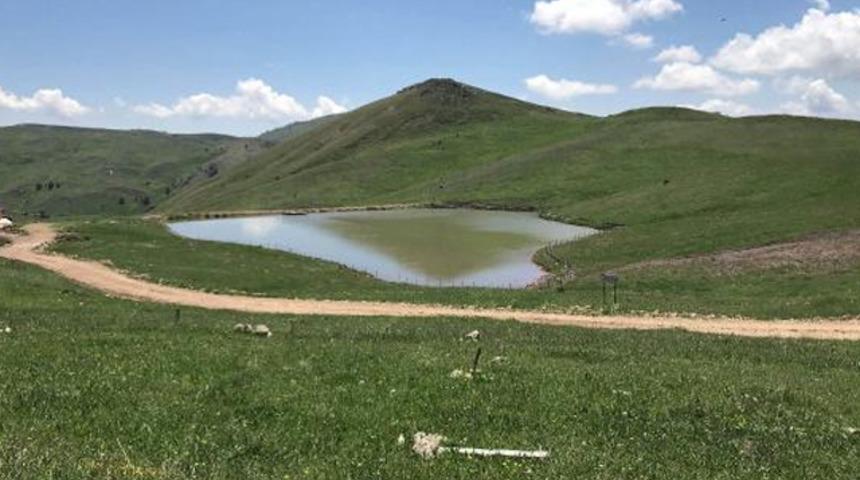 Gümüşhane'de tespit edildi! Bilim dünyasını heyecanlandıran keşif