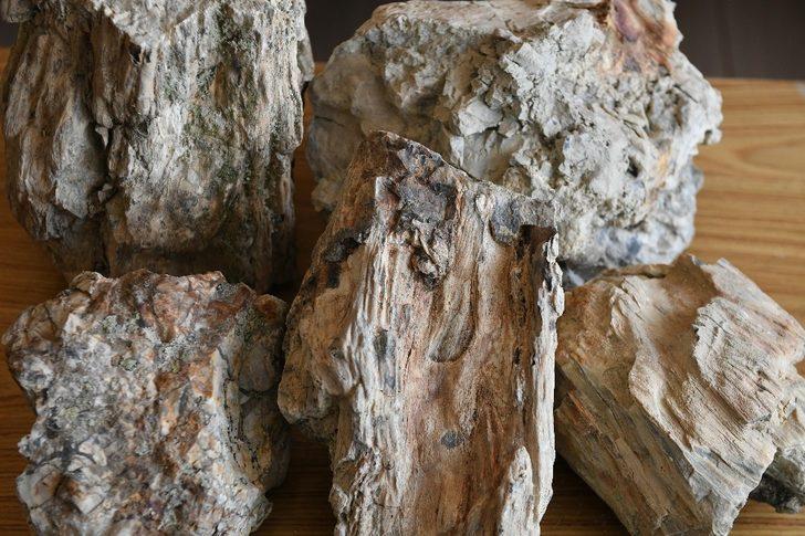 Başkent’te jeopark alanları gün yüzüne çıkarılıyor G2