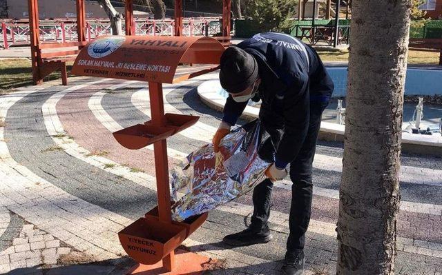 Kısıtlamada sokak hayvanları unutulmadı