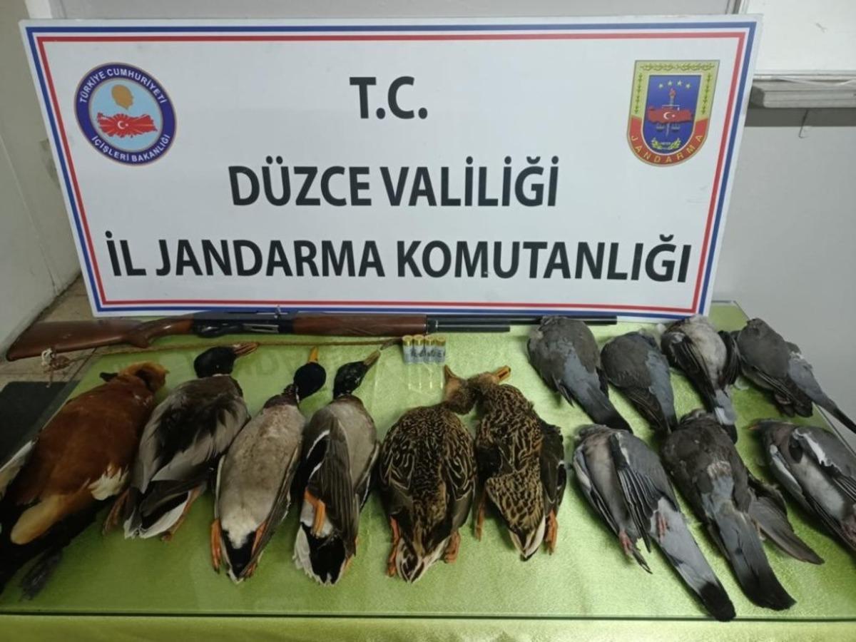 Avcılık adı altında katliam yapan şahıs trafik uygulamasında yakalandı