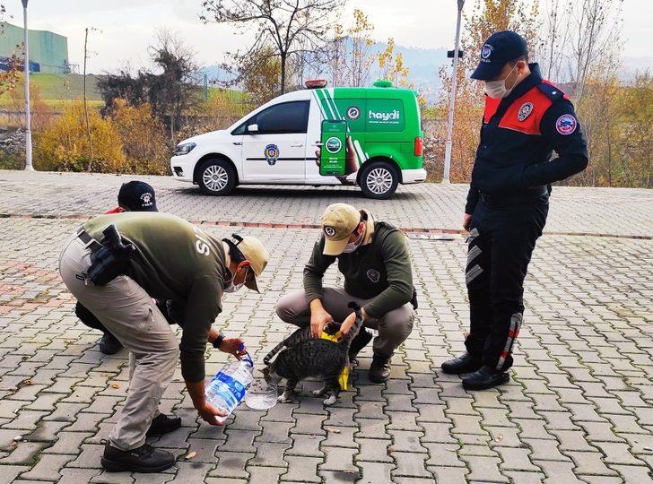 Karabük’te yaban hayvanları unutulmadı G1