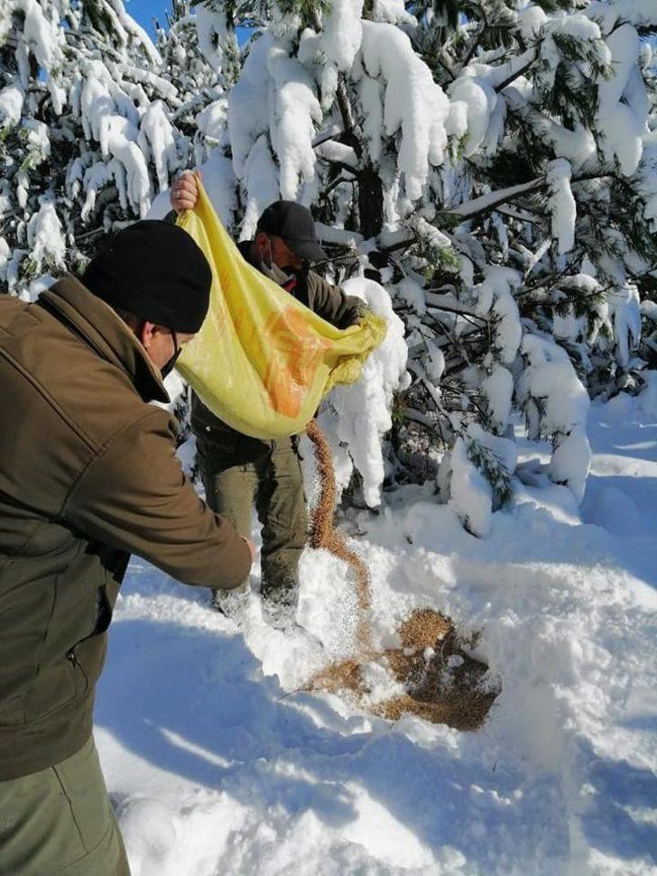 Karabük’te yaban hayvanları unutulmadı G3