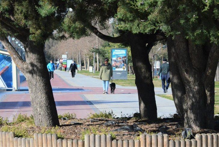 Ordu’da kış mevsiminde yalancı bahar G4