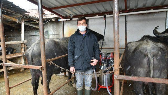 Süt üreticilerin yüzü güldü