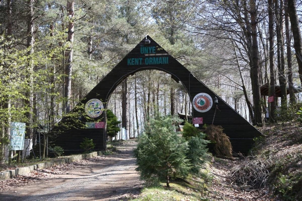 Denize en yakın orman turizme kazandırılıyor