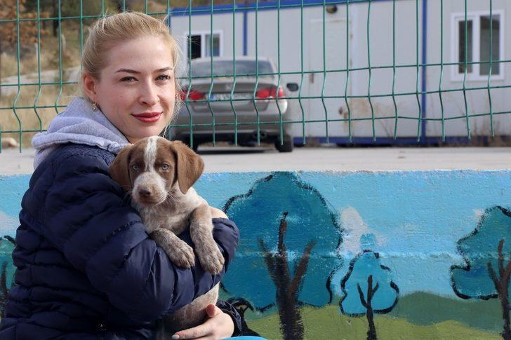 Pandemi döneminde birçok hayvan yuvasız kaldı G1