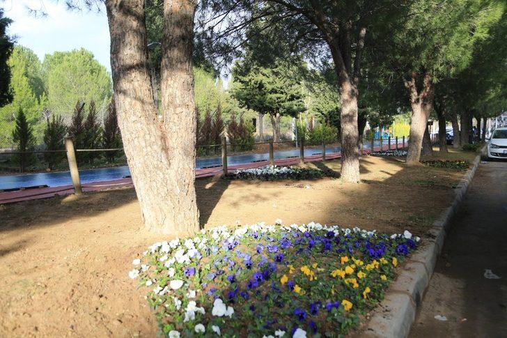 Pamukkale kış çiçekleriyle süsleniyor G3