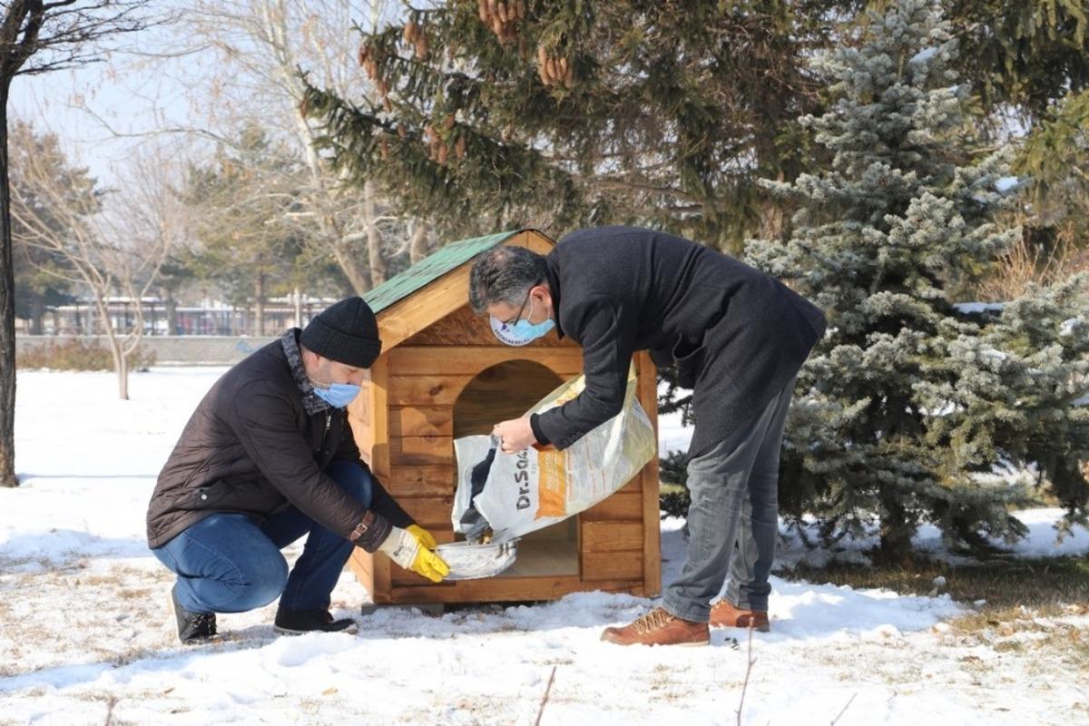 Sokak hayvanları i&ccedil;in kul&uuml;beler imal edildi