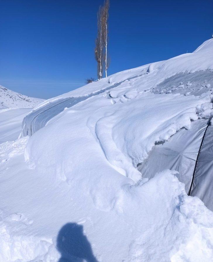 Güroymak’ta 43 hayvan havasızlıktan telef oldu G4