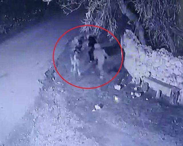 Bah&ccedil;e duvarından aşırarak buzağı &ccedil;alan hırsızlar g&uuml;venlik kamerasında 1