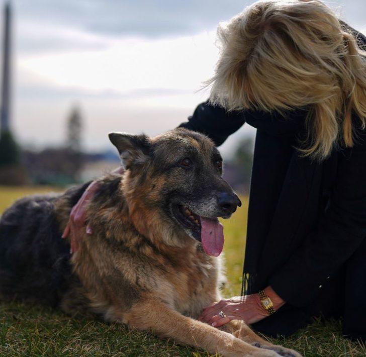 ABD Başkanı Joe Biden sahiplendiği iki köpeği Beyaz Saray’a taşıdı G3