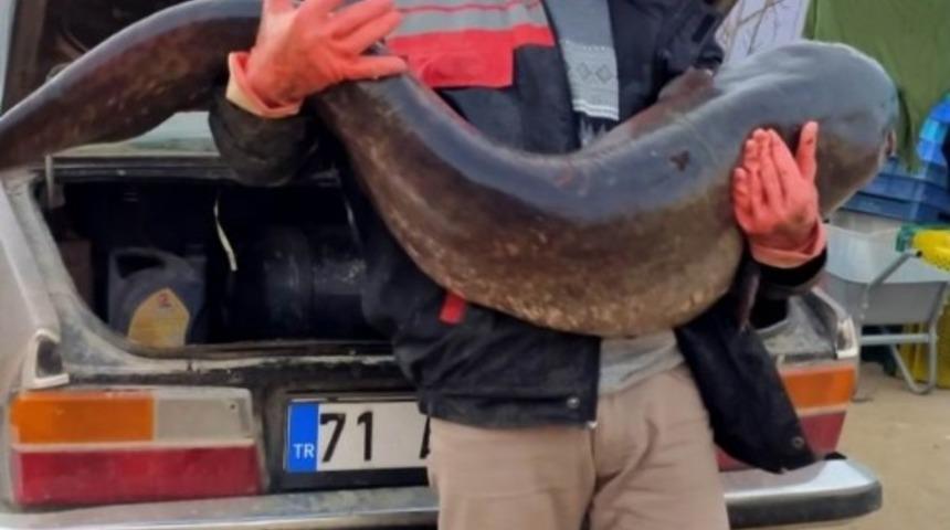 Hirfanlı barajında 25 kiloluk sazan balığı yakalandı