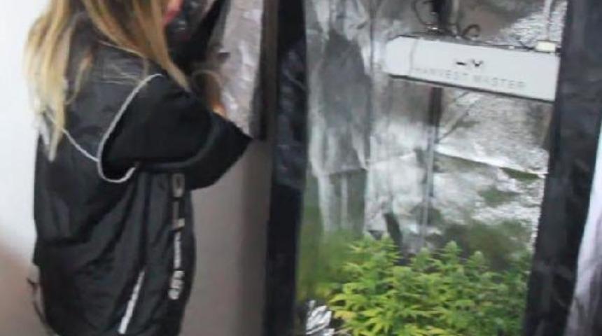 Hint keneviri yetiştirmek için kıyafet dolabına ve odalara özel düzenek kurmuşlar