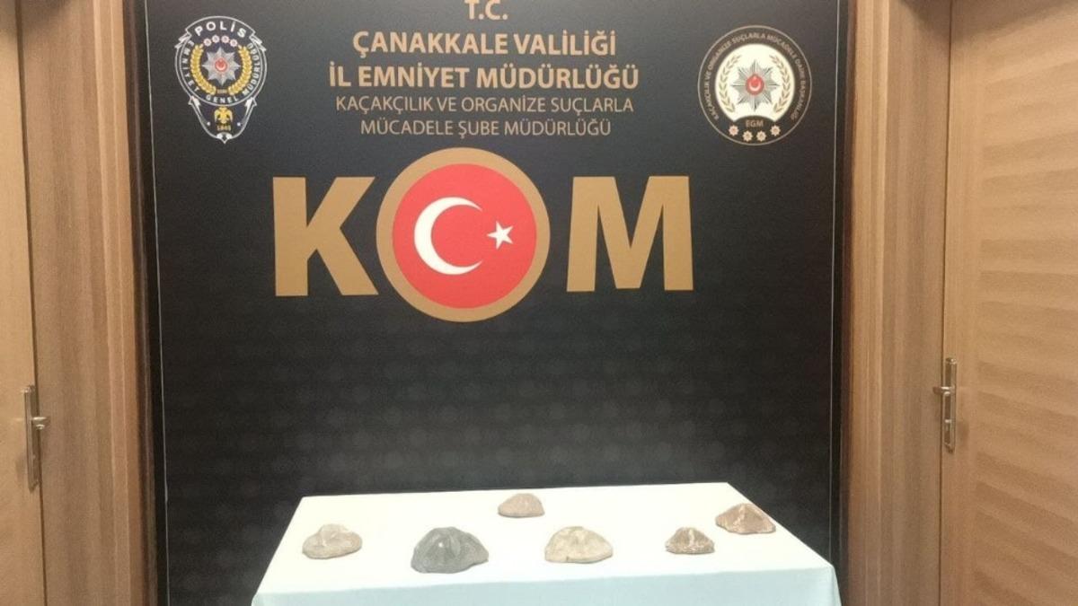 &Ccedil;anakkale&rsquo;de 6 milyon değerinde denizyıldızı fosili ele ge&ccedil;irildi