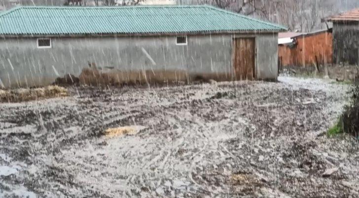 Lalapaşa’da dolu G2