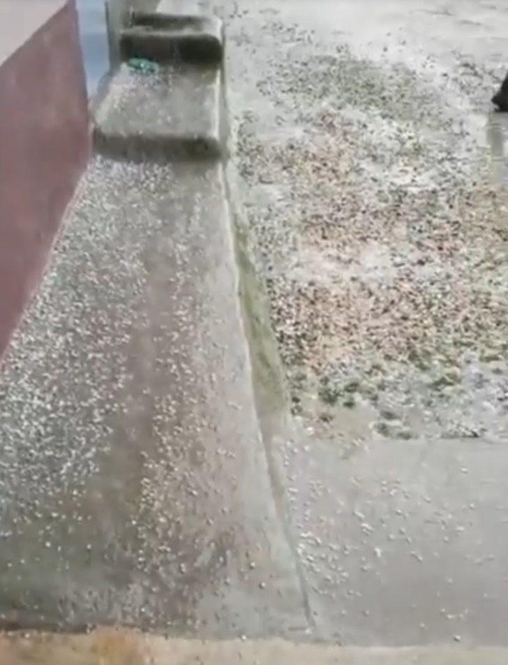 Lalapaşa’da dolu G3