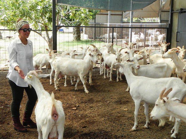 'Paranı ziyan etme' diyenleri dinlemedi