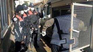 Skandal! Yavru köpeğe tecavüz iddiasına gözaltı