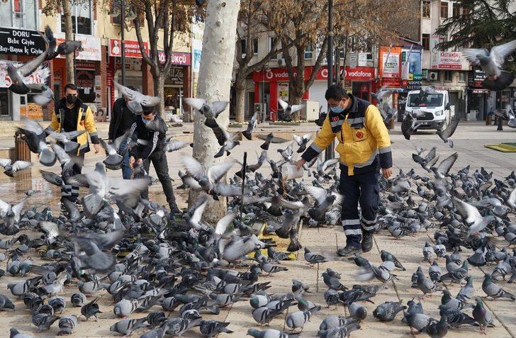 Kastamonu’da sokak hayvanları için 14 ton mama harcandı G2