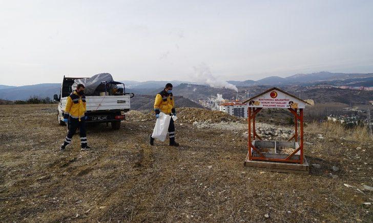 Kastamonu’da sokak hayvanları için 14 ton mama harcandı G4