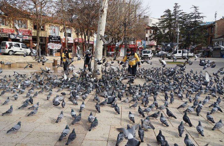 Kastamonu’da sokak hayvanları için 14 ton mama harcandı G5