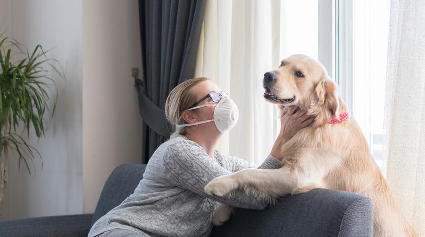 Salgını tamamen bitirmek i&ccedil;in hayvanların da aşılanması gerekebilir