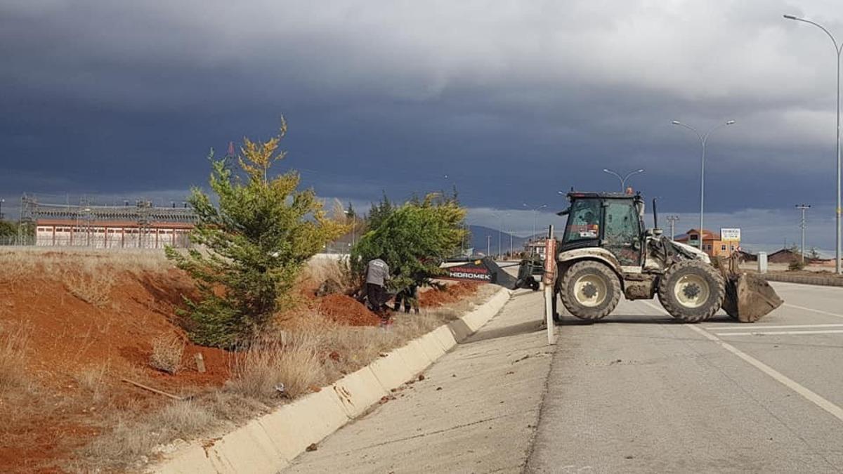 &Ccedil;evre yolunda ağa&ccedil;landırma &ccedil;alışması
