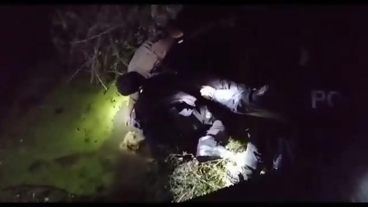 Kanala d&uuml;şen k&ouml;peklerin imdadına polisler yetişti