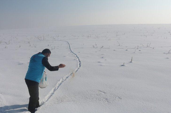 Ağrı İl Müftülüğü, yabani hayvanlar için yiyecek bıraktı G1