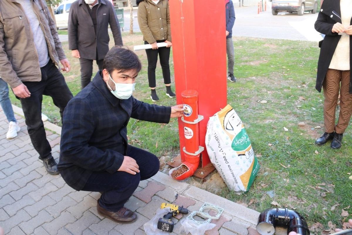 Kozan&rsquo;da sokak hayvanlarına su ve mama desteği