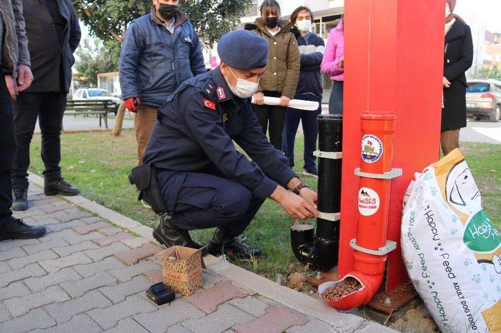 Kozan’da sokak hayvanlarına su ve mama desteği G2