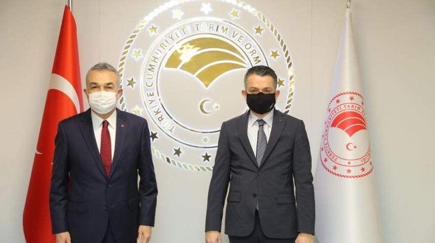 AK Partili Savaş, Bakan Pandemirli ile görüştü