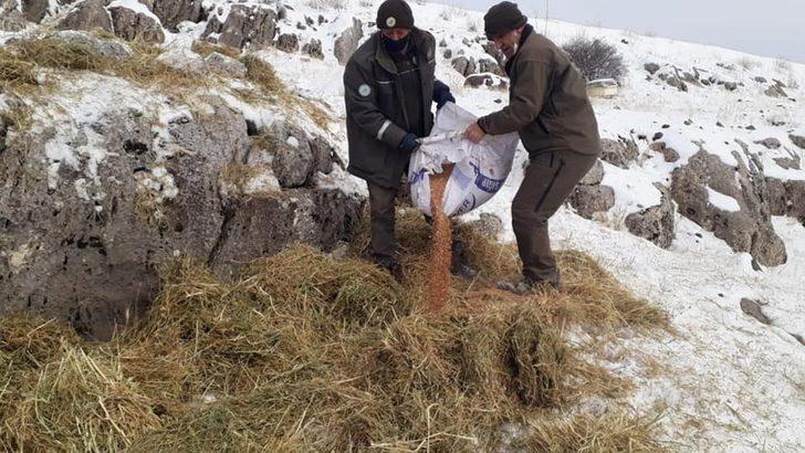 Elazığ’da yaban hayatı için yem desteği sürüyor G2