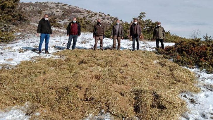 Elazığ’da yaban hayatı için yem desteği sürüyor G4