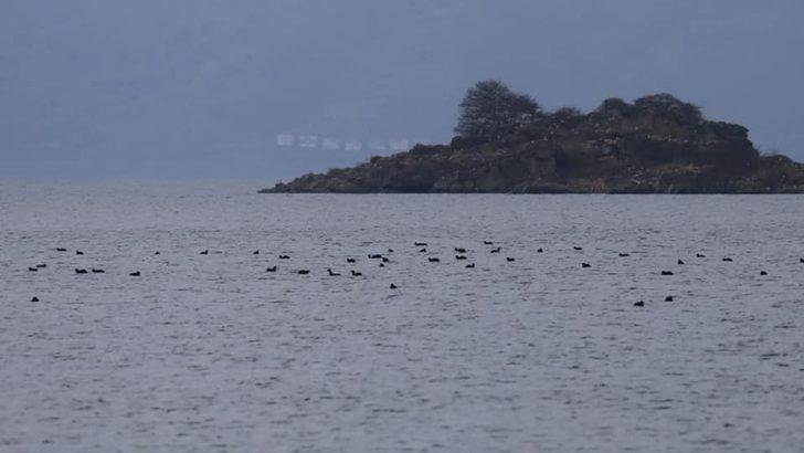 Elazığ’da yaban hayatı için yem desteği sürüyor G5