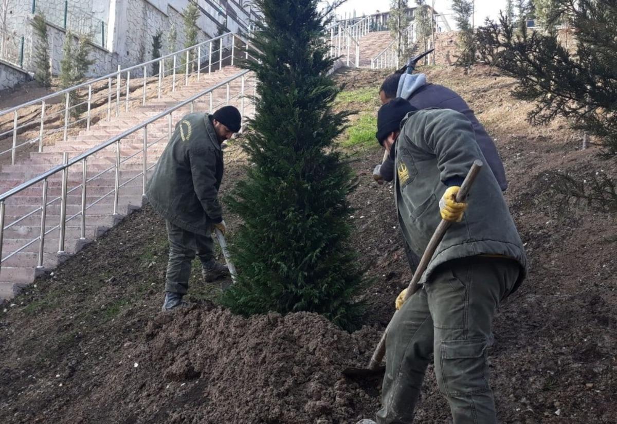 Ke&ccedil;i&ouml;ren her mevsim ağa&ccedil;landırılıyor