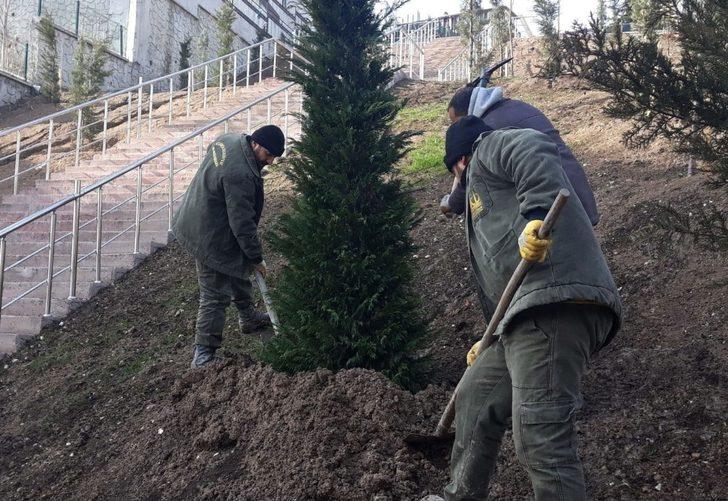 Keçiören her mevsim ağaçlandırılıyor G1