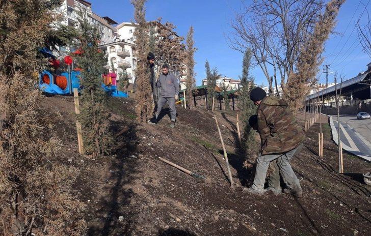 Keçiören her mevsim ağaçlandırılıyor G2