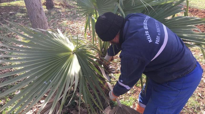 Kilis&rsquo;te sokaklara kış bakımı