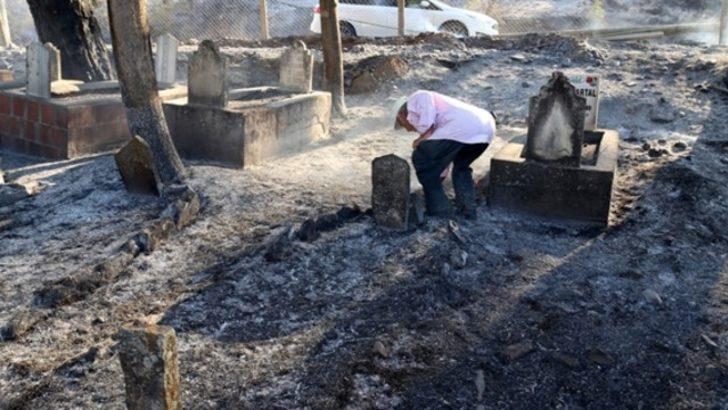 Antalya Serik'te orman yangını! Mezarlık bile kül oldu