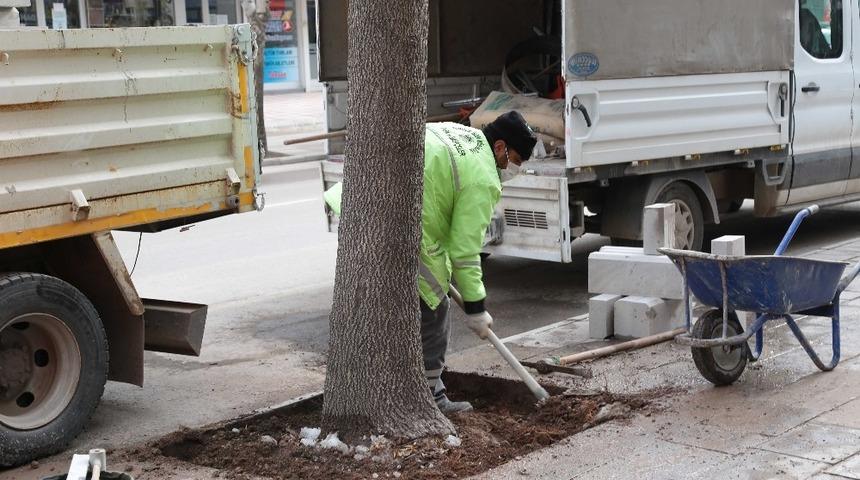 Aksaray&rsquo;da yeşil alanların bakımı kış aylarında da devam ediyor